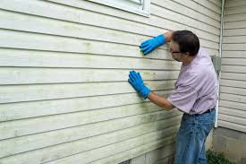 Best Brick Veneer Siding  in Friday Harbor, WA